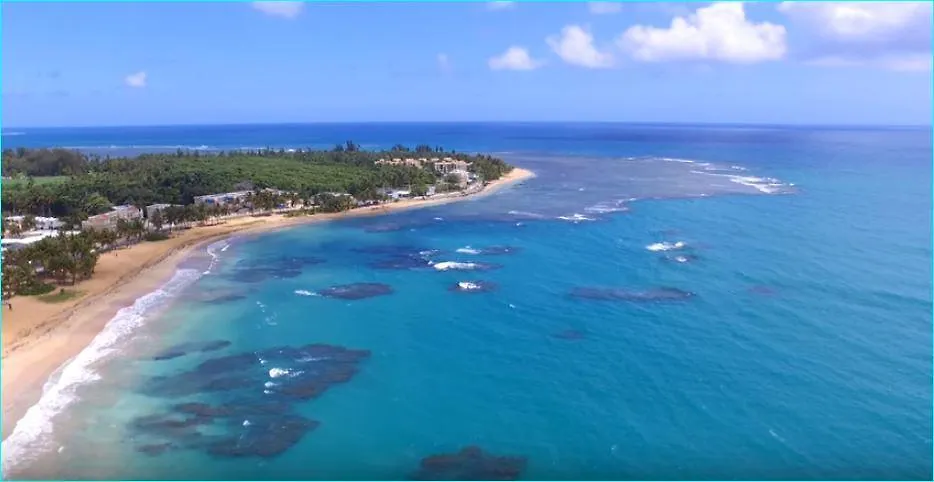 Beach Front Apartment In Luquillo contacts